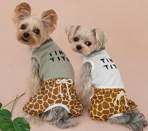 ybgEFA@yTINOTITO@LȂzXSESEMELEXLEXXLTCY@TT23SS