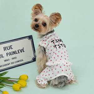 ybgEFA@yTINOTITO@vgȂzXSESEMELEXLEXXLTCY@TT23SS