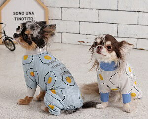 ybgEFA@yTINOTITO@COOLHڋʏĂbVANzXSESEMELEXLEXXLTCY@TT23SS