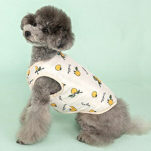 ybgEFA@yTINOTITO@vgo[VuR[gzXS`XXLTCY@TT23AW