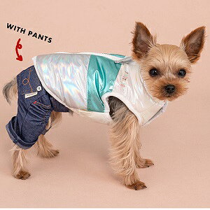 ybgEFA@yTINOTITO@LLؑփR[gzXS`XXLTCY@TT23AW