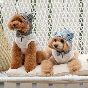 �y�b�g�E�F�A�@�yCRAZYBOO�@�N�}�f�j���t�[�h�p�[�J�[�@XS�`XXL�ADXS�`DM�T�C�Y�z�@CB24SS