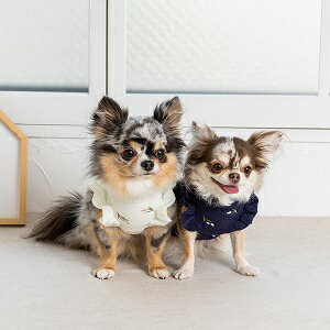 ybgEFA@yTINOTITO@`[bvtjbgzXS`XXLTCY@TT23AW