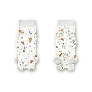 ybgEFA@ySolgra@p㕞@p@҂񕿁@XS`Lz@p̃PAEFAA畆ی