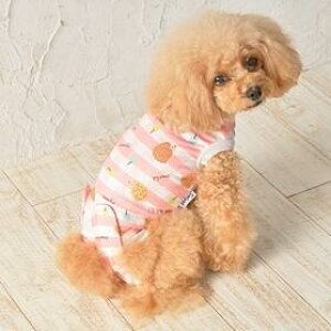 ybgEFA@ySolgra@p㕞@p@nlY~@XS`Lz@p̃PAEFAA畆ی