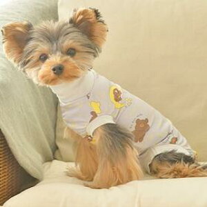 ybgEFA@ySolgra@p㕞@p@܂񕿁@XS`Lz@p̃PAEFAA畆ی