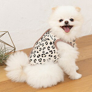 ybgEFA@yTINOTITO@Aj}|Pbg{AR[gzXS`XXLTCY@TT23AW