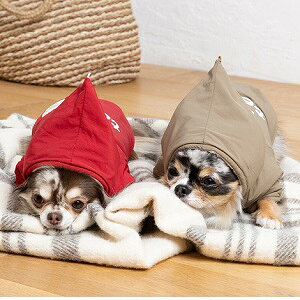 ybgEFA@yTINOTITO@Ƃ񂪂t[hiCR[gzXS`XXLTCY@TT23AW