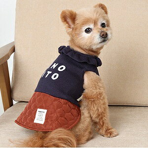 ybgEFA@yTINOTITO@t݃Lgs[XzXS`XXLTCY@TT23AW