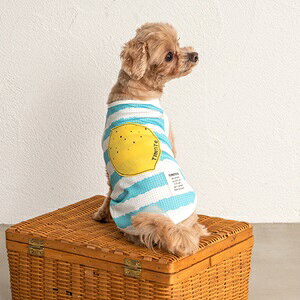 ybgEFA@yTINOTITO@COOLt[cAbvP^NzXS`XXLTCY@TT24SS