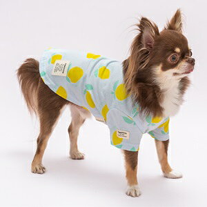 ybgEFA@yTINOTITO@vgTVczXS`XXLTCY@TT24SS