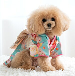 ybgEFA@yCRAZYBOO@~@XS`XXLADXS`DMTCYz@E܎O@@CB24AW