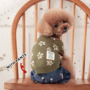 ybgEFA@yTINOTITO@ԕjbgzXS`XXLTCY@TT24AW