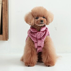 ybgEFA@yTINOTITO@xAV[OAE^[zXS`XXLTCY@TT24AW