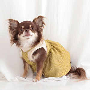 ybgEFA@yTINOTITO@jAXJ[s[XzXS`XXLTCY@TT24AW