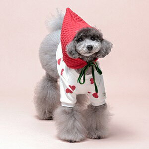 ybgEFA@yTINOTITO@Xqtc[g[i[zXS`XXLTCY@TT24AW