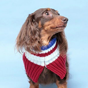 ybg}t[@yD'schat@}`{[_[}t[@ItzCg@S`L 3TCYz