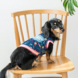 ybgEFA@yD'schat@LfBfj|Pbg^NgbvzXS`XXLADXS`DLAFBS`FBLTCY@DC25SS