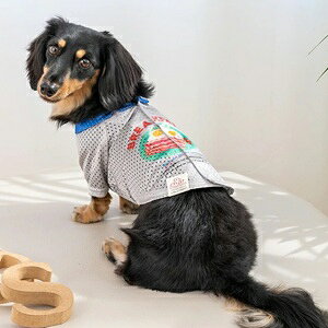 ybgEFA@yD'schat@wJbVVczXS`XXLADXS`DLTCY@DC25SS