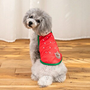 ybgEFA@yD'schat@t[cN[OGvzXS`XXLADXS`DLAFBS`FBLTCYA4L`6LAOS`OLTCY@DC25SS