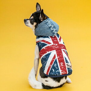 ybgEFA@yD'schat@jIWbNAE^[zXS`XXLADXS`DLAFBS`FBLTCY@DC25AW