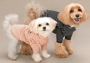 ybgEFA@yTINOTITO@tg[i[ zXS`XXLTCY@TT25AW