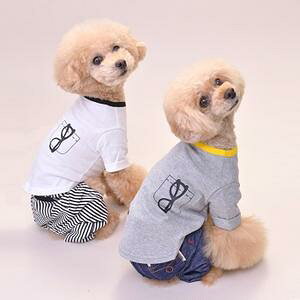 ybgEFA@yTINOTITO@܂GTVczMELTCY@CB