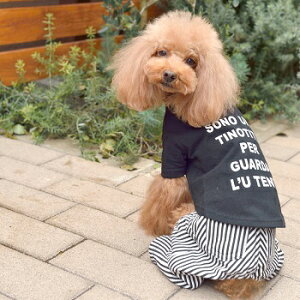 ybgEFA@yTINOTITO@VvSTVczXLTCY@CB