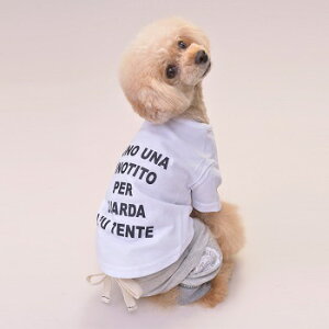 ybgEFA@yTINOTITO@VvSTVczMELTCY@CB