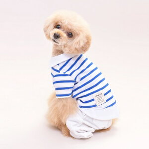 ybgEFA@yTINOTITO@{[_[C[hVczXSESTCY@CB