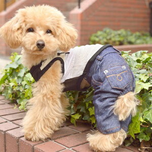 ybgEFA@yTINOTITO@fjjbgpc@lCr[zXSESEMELEXLTCY@TT