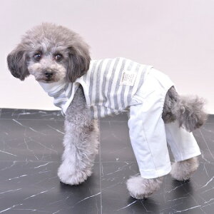 ybgEFA@yTINOTITO@fjjbgpc@zCgzXSESEMELEXLTCY@TT