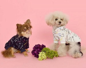 ybgEFA@yTINOTITO TTpp[J[zXSESTCY@TT20AW