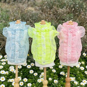 ybg@yGODPIVA@t[tuEXz@IVȂ񂿂Ɂ