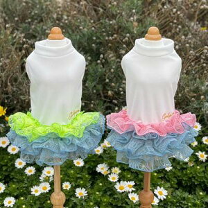 ybg@yGODPIVA@COOLt[s[Xz@IVȂ񂿂Ɂ@GP2021SS