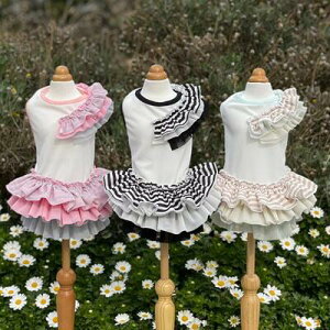 ybg@yGODPIVA@COOL{[_[ts[Xz@IVȂ񂿂Ɂ@GP2021SS