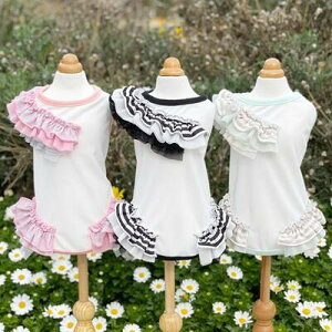 ybg@yGODPIVA@COOL{[_[t^Nz@IVȂ񂿂Ɂ