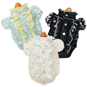 ybg@yGODPIVA@J[t[tuEXz@IVȂ񂿂Ɂ@GP24SS