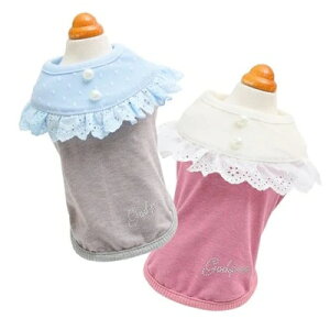 ybg@yGODPIVA@ewc[X^Nz@IVȂ񂿂Ɂ@GP24SS