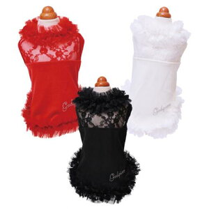 ybg@yGODPIVA@uCg[X^Nz@IVȂ񂿂Ɂ@GP24AW