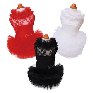 ybg@yGODPIVA@uCg[Xs[Xz@IVȂ񂿂Ɂ@GP24AW