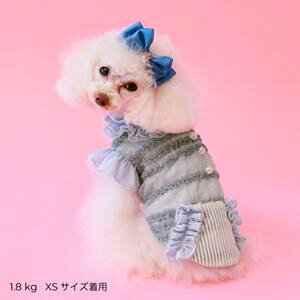 ybg@yGODPIVA@hbg`[t^Nz@IVȂ񂿂Ɂ@GP25SS