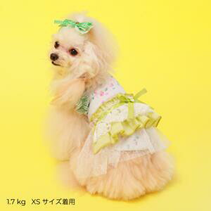 ybg@yGODPIVA@K[ft[^Nz@IVȂ񂿂Ɂ@GP25SS