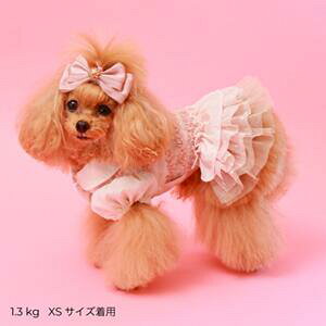 ybg@yGODPIVA@hbg`[ts[Xz@IVȂ񂿂Ɂ@GP25SS