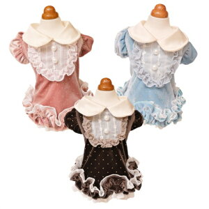 ybg@yGODPIVA@hbgv}^Ngbvz@IVȂ񂿂Ɂ@GP25AW