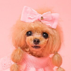 pwAANZT[@yGODPIVA@xAzCbvob^z@Pn@т̃ɂXX@GP25SS