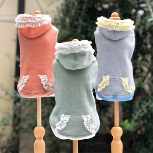 ybg@yGODPIVA@ӂӂp[J[z@IVȂ񂿂Ɂ