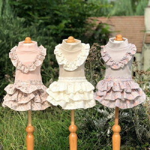 ybg@yGODPIVA@t[tus[Xz@IVȂ񂿂Ɂ