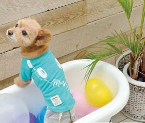 ybgEFA@yTINOTITO@wbhtHTVczMELTCY@TT19SS