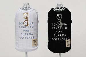 ybgEFA@yTINOTITO@Kl^NgbvzXSESTCY@TT19SS